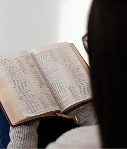Reading Bible
